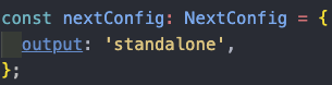 next.config.ts의 output옵션 설정